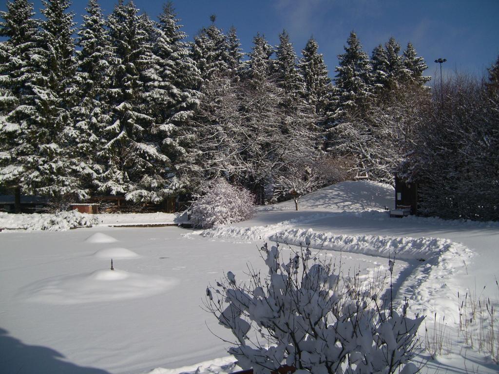 Heidehof Hellenthal Villa Luaran gambar