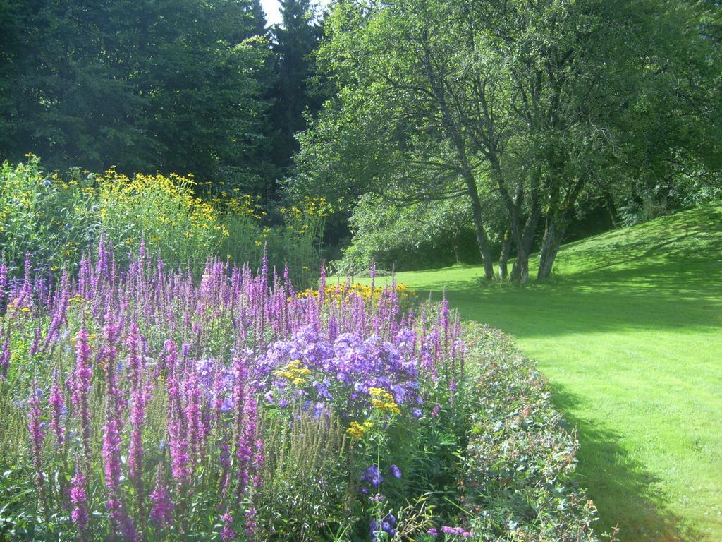 Heidehof Hellenthal Villa Luaran gambar