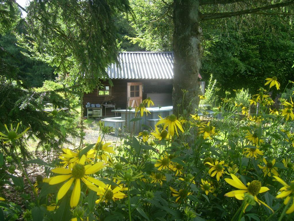 Heidehof Hellenthal Villa Luaran gambar