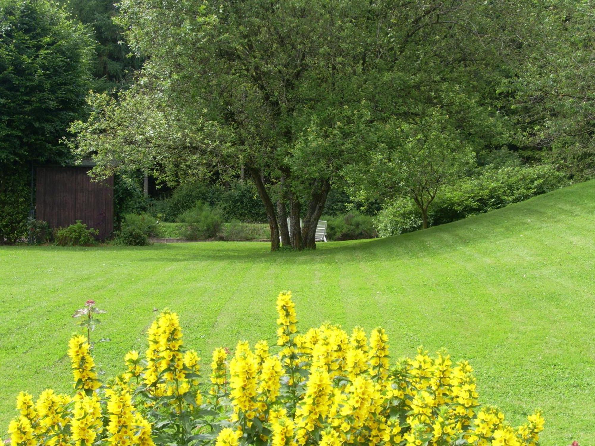 Heidehof Hellenthal Villa Luaran gambar