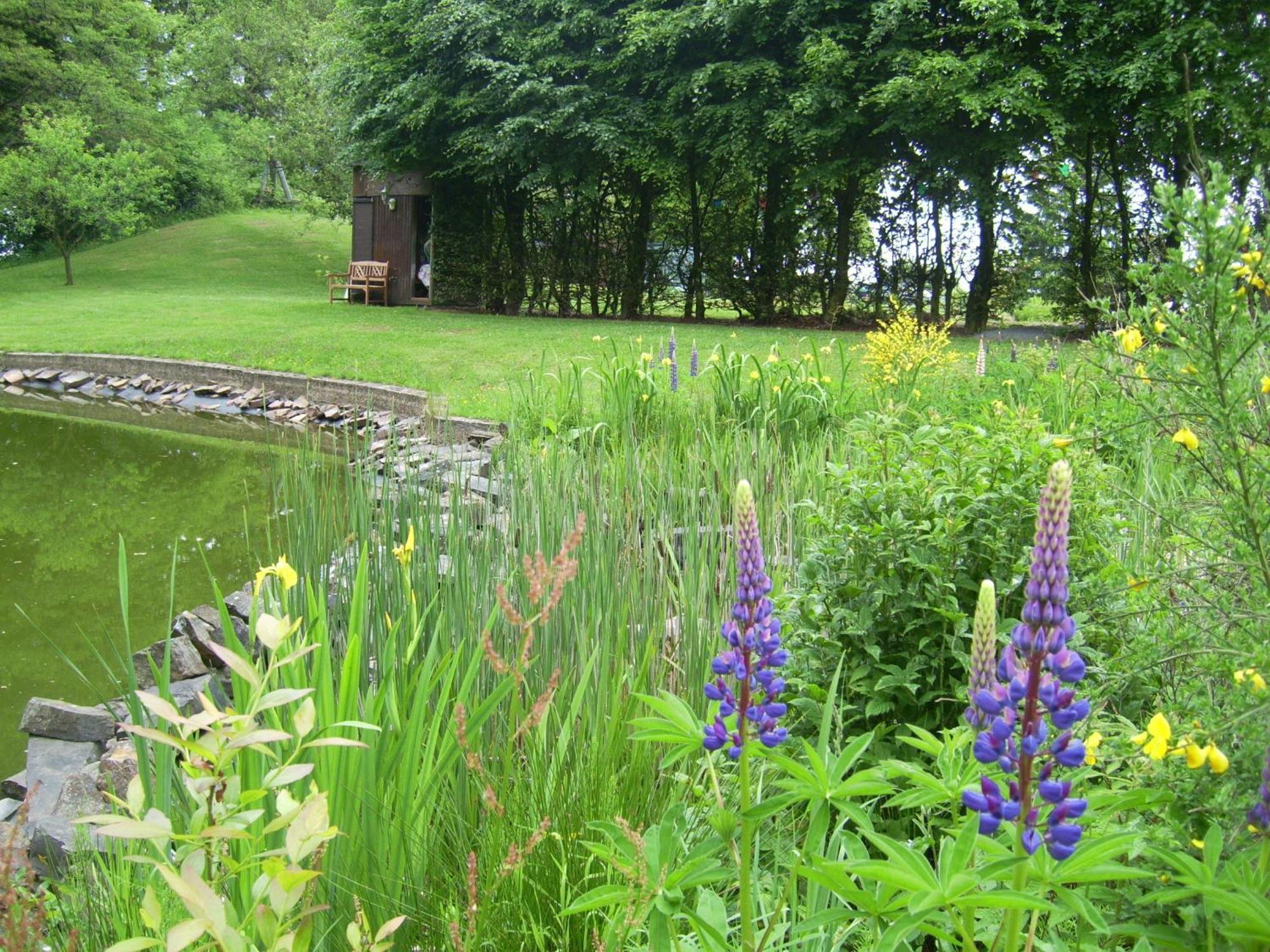 Heidehof Hellenthal Villa Luaran gambar